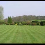 Fresh turfed lawn Fresh turfed lawn