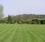 Fresh turfed lawn Fresh turfed lawn