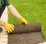 Rolled turf Rolled turf