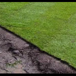 Quality turf Quality turf