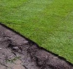 Quality turf Quality turf